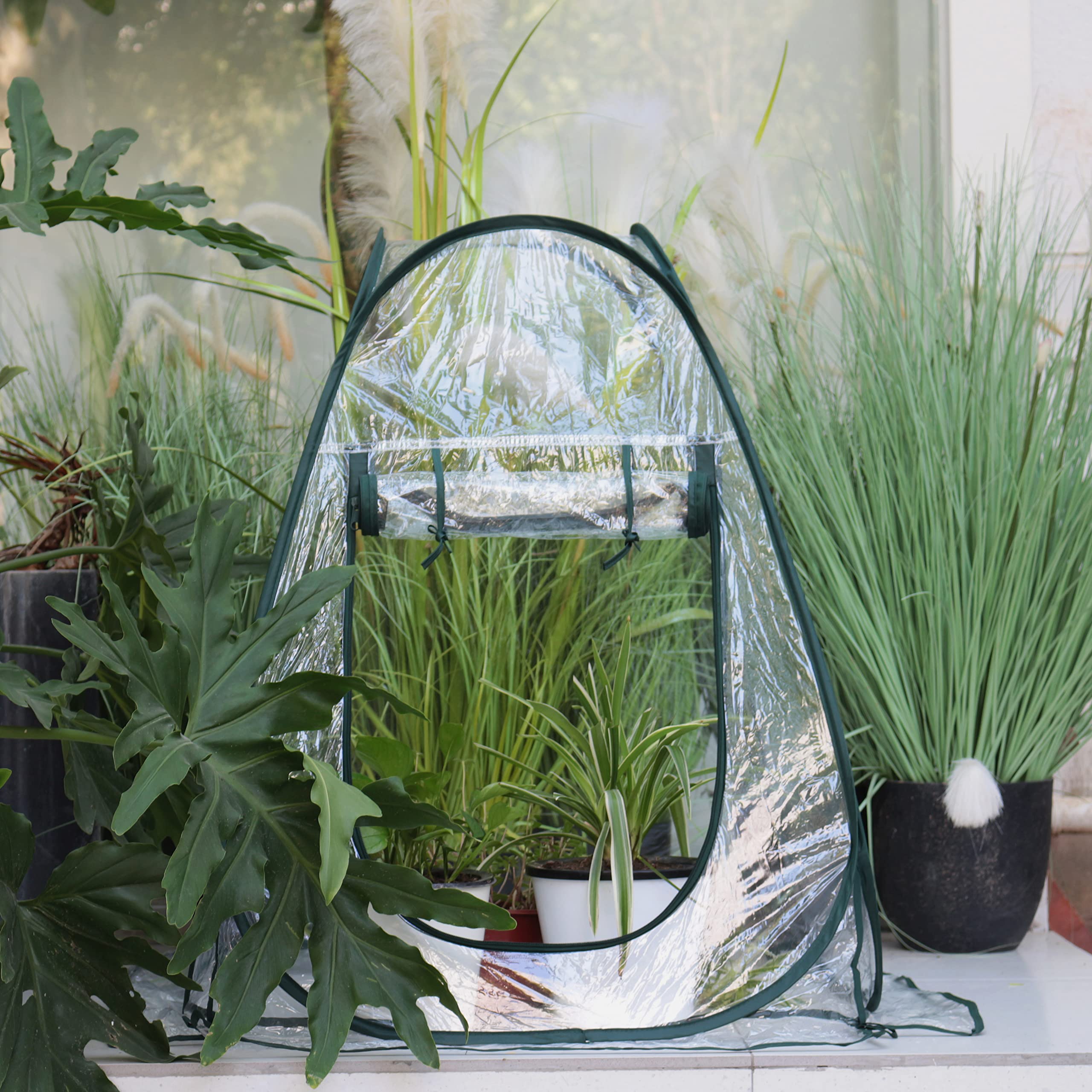 Gardzen inside view from above with seedlings receiving sunlight efficiently