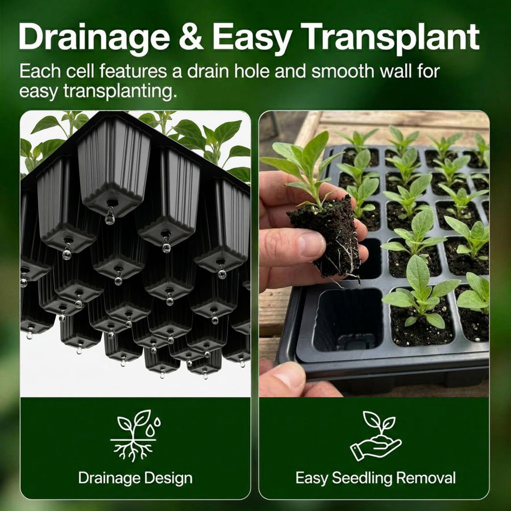 Gardzen trays in use with seedlings on windowsill showing early growth monitoring benefit