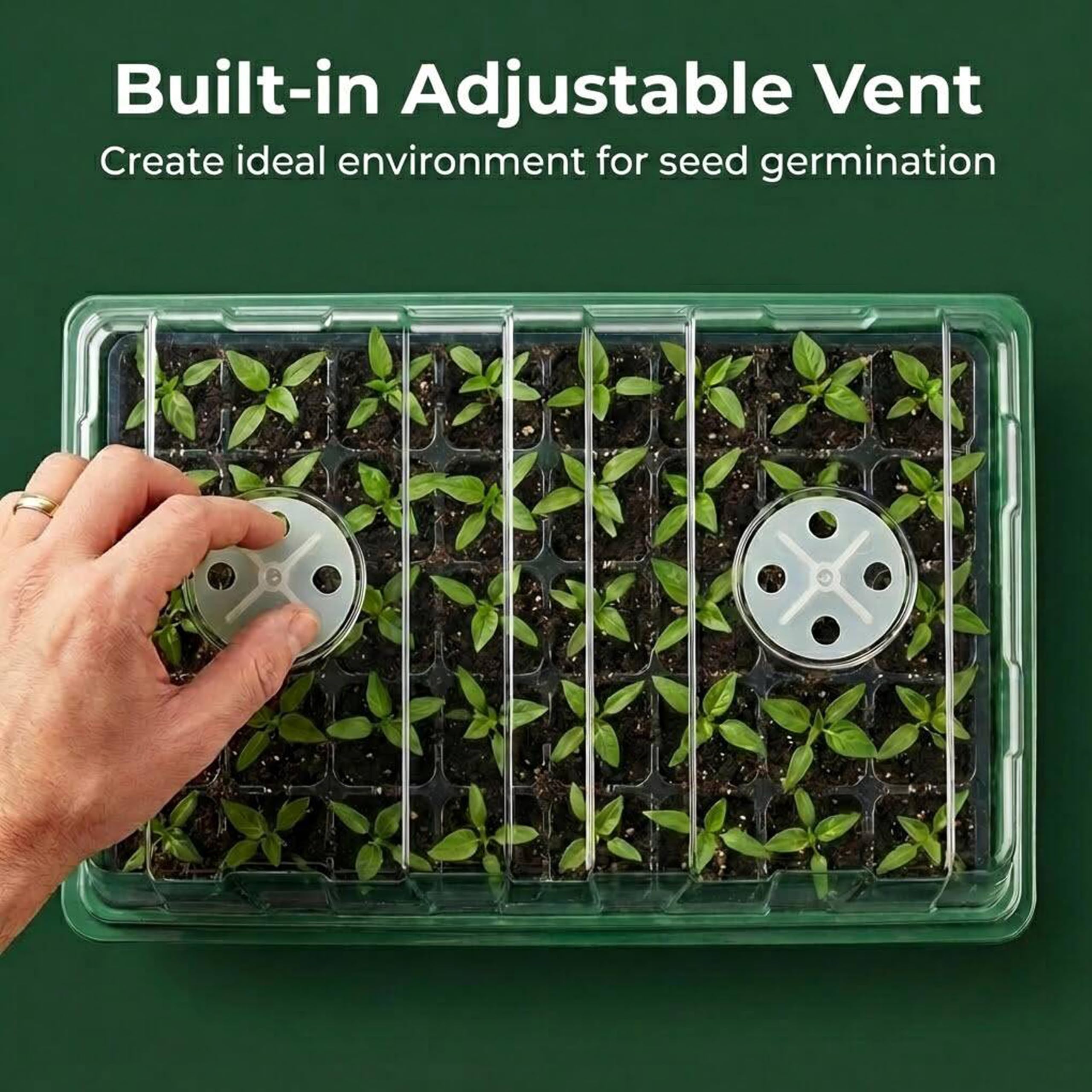 Gardzen trays in use on a windowsill demonstrating compact indoor seed starting