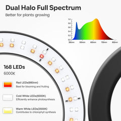 Garpsen Halo closeup of translucent LED ring maximizing light transmission