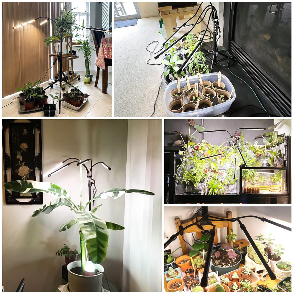 Garpsen lifestyle shot on a windowsill with houseplants for enhanced indoor plant care
