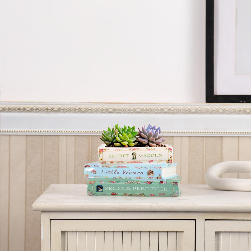 Garsheon planter styled on a coffee table enhancing room decor with a botanical accent
