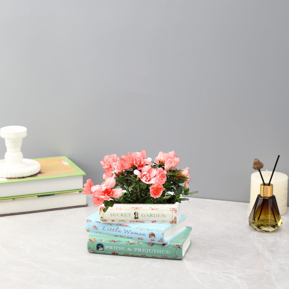 Garsheon planter staged on a bookshelf adding literary charm and space-saving greenery