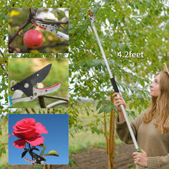 GARTOL cut-and-hold head holding fruit to prevent drops during harvest