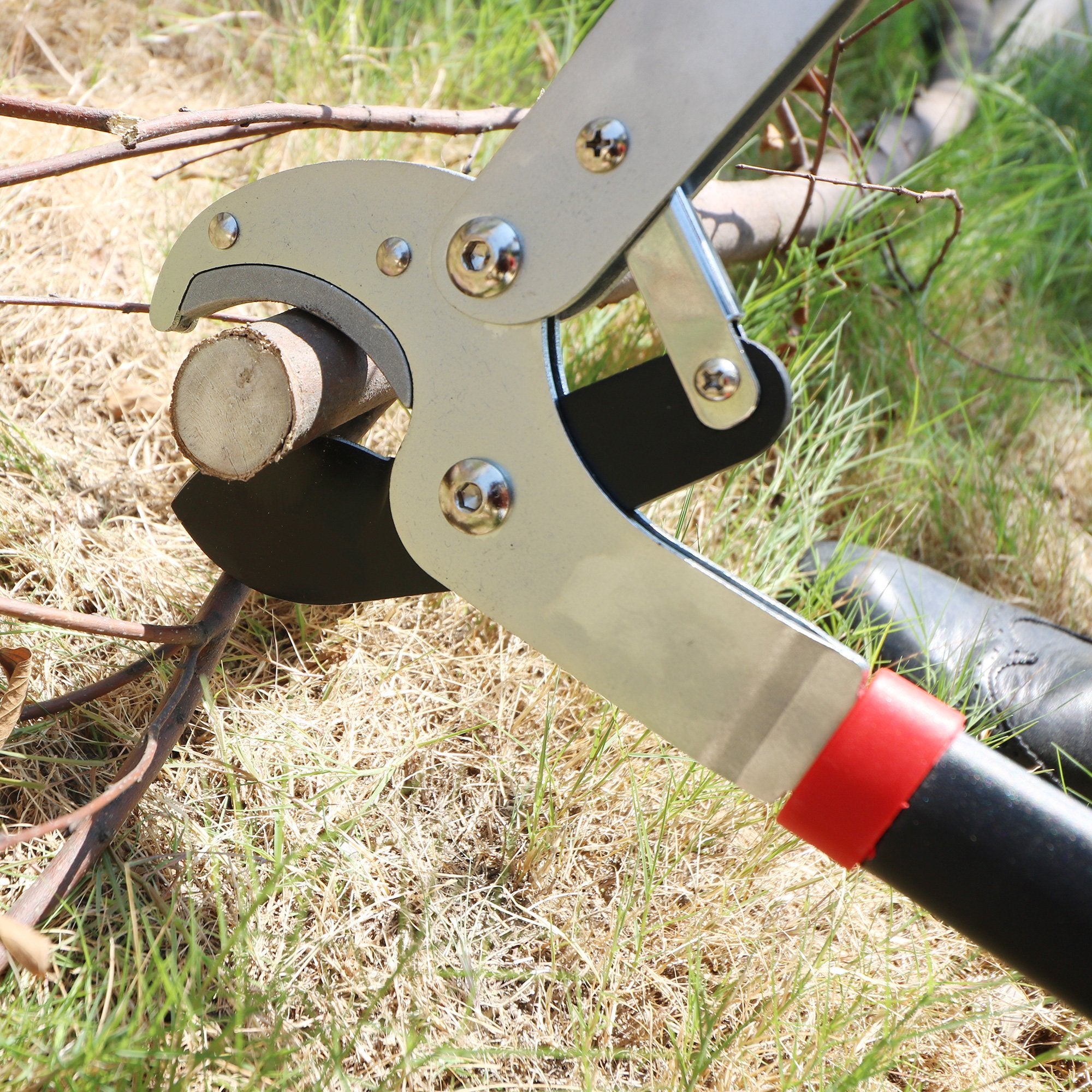 GARTOL lopper in garden lifestyle setting enabling efficient yard work