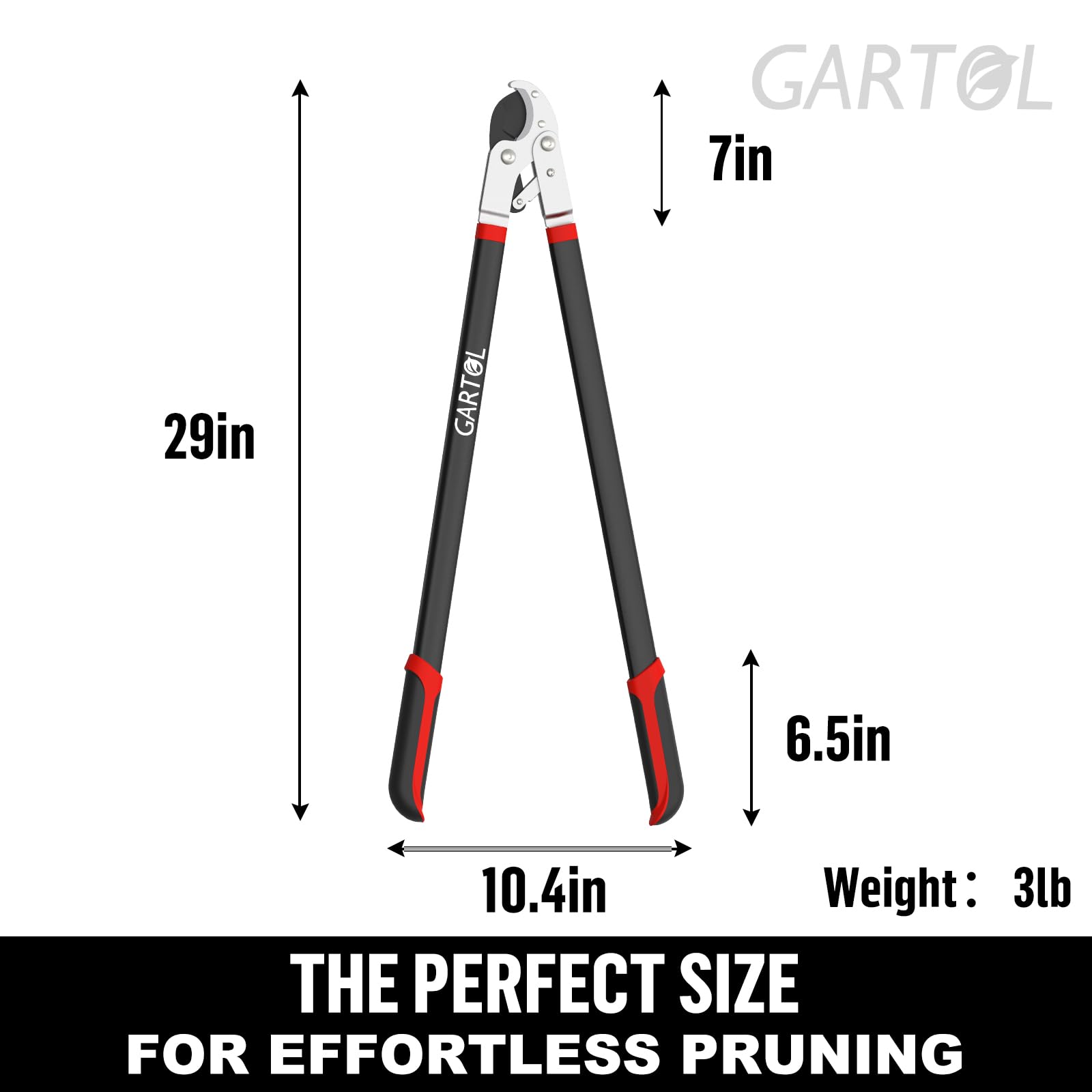 GARTOL size comparison next to ruler showing 29-inch scale advantage