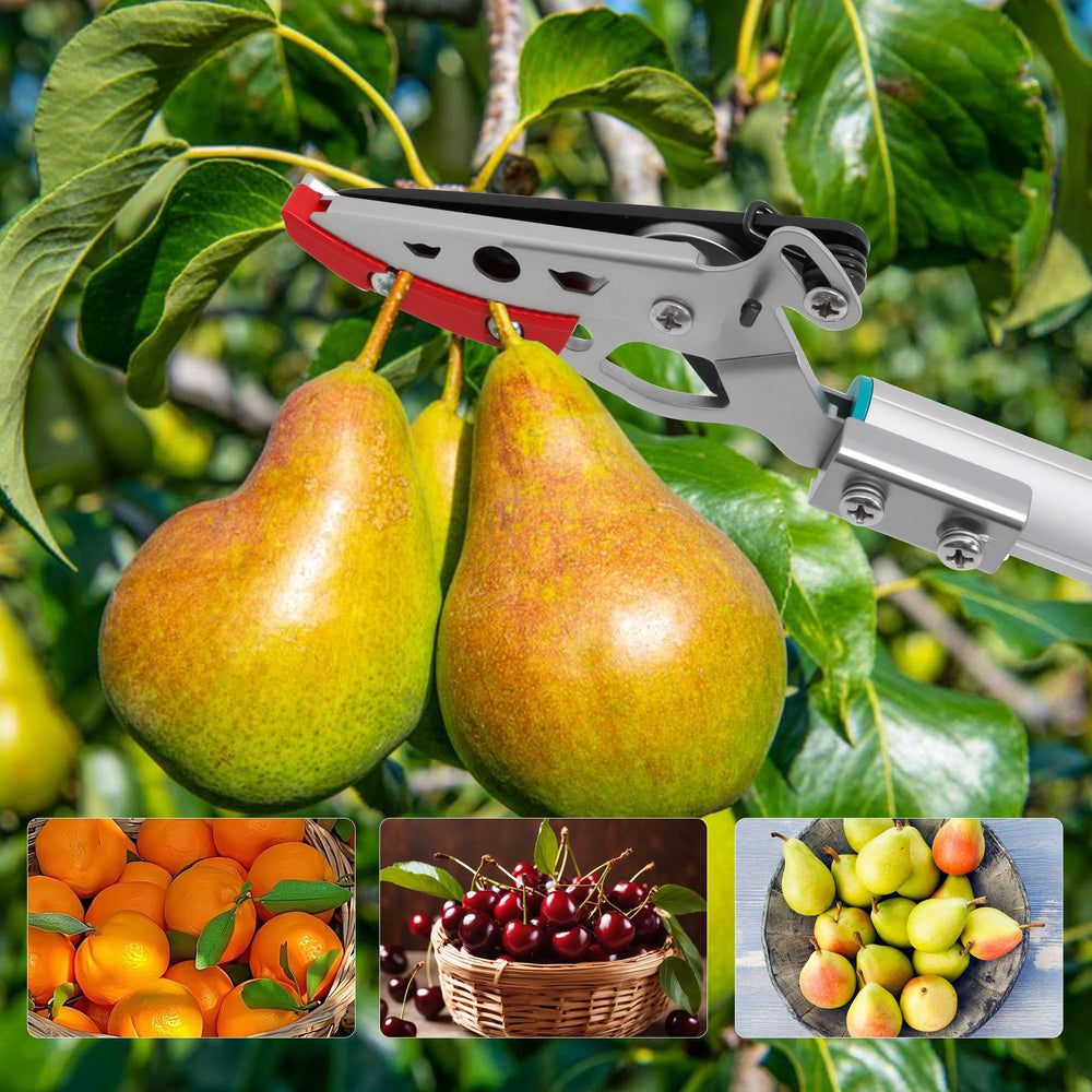 GARTOL cutting thorny rose stems safely without touching thorns