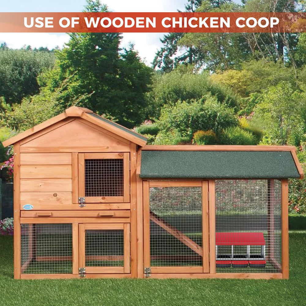 Garvee installed in a backyard coop demonstrating tidy, organized egg collection