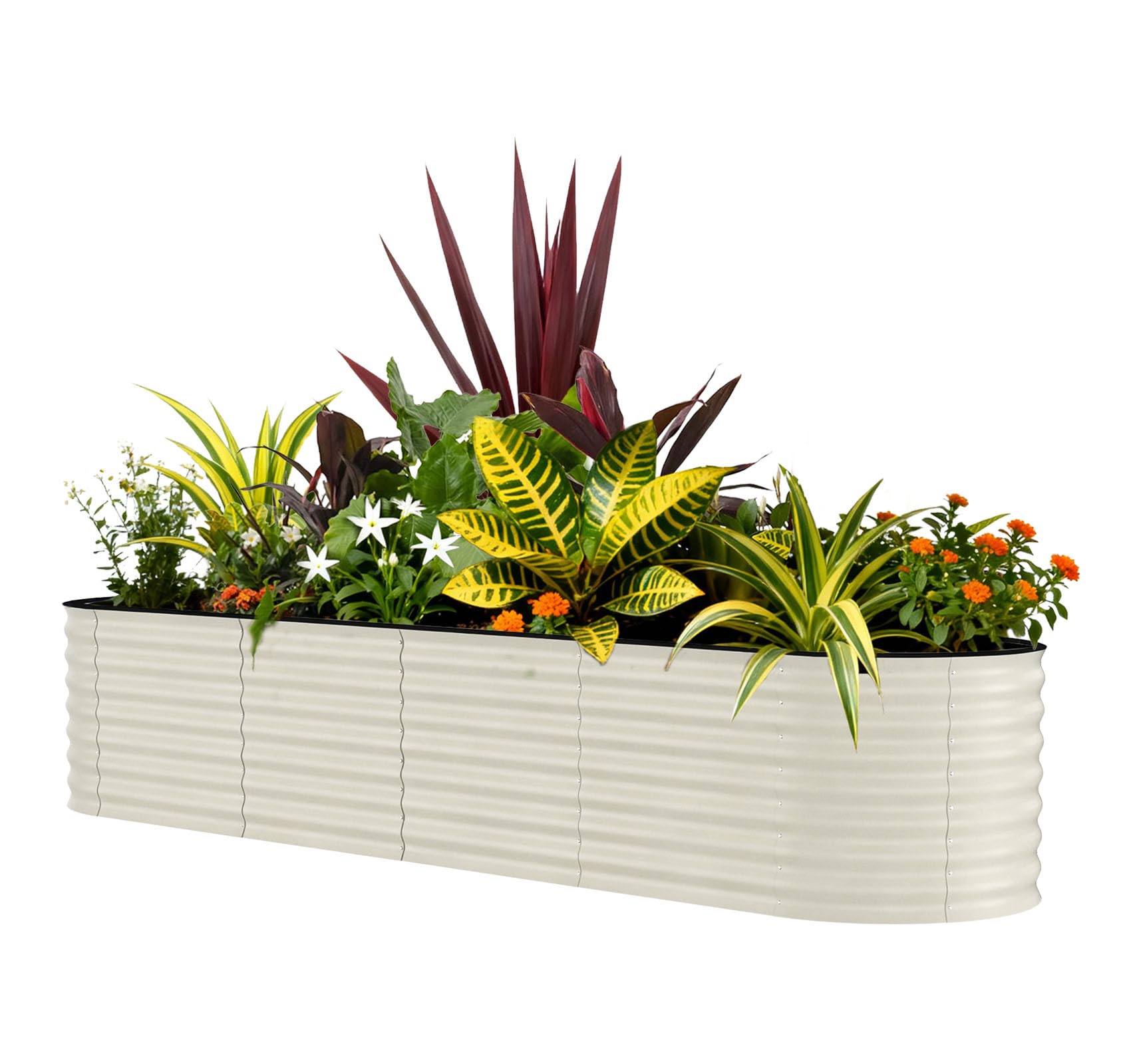 Garvee oval top-down planting layout showing efficient use of space and planting design