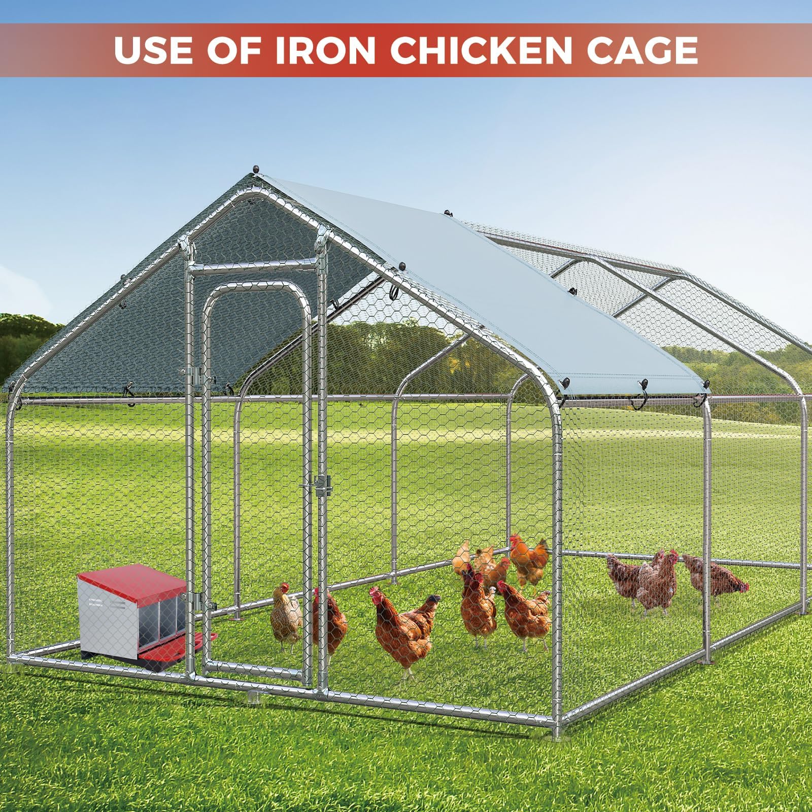 Garvee nesting box next to a hen to show size and practical scale