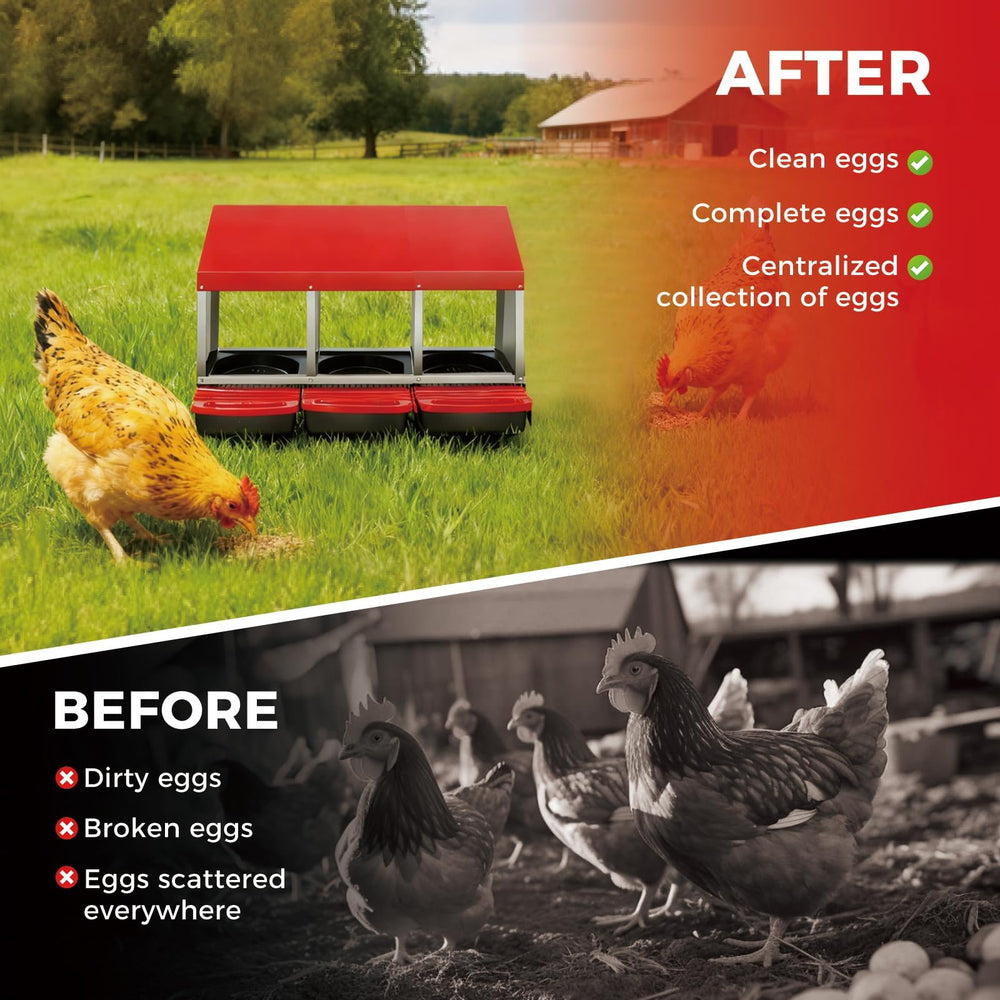 Garvee side profile showing three compartments that reduce hen conflict
