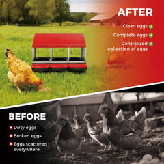 Garvee side profile showing three compartments that reduce hen conflict