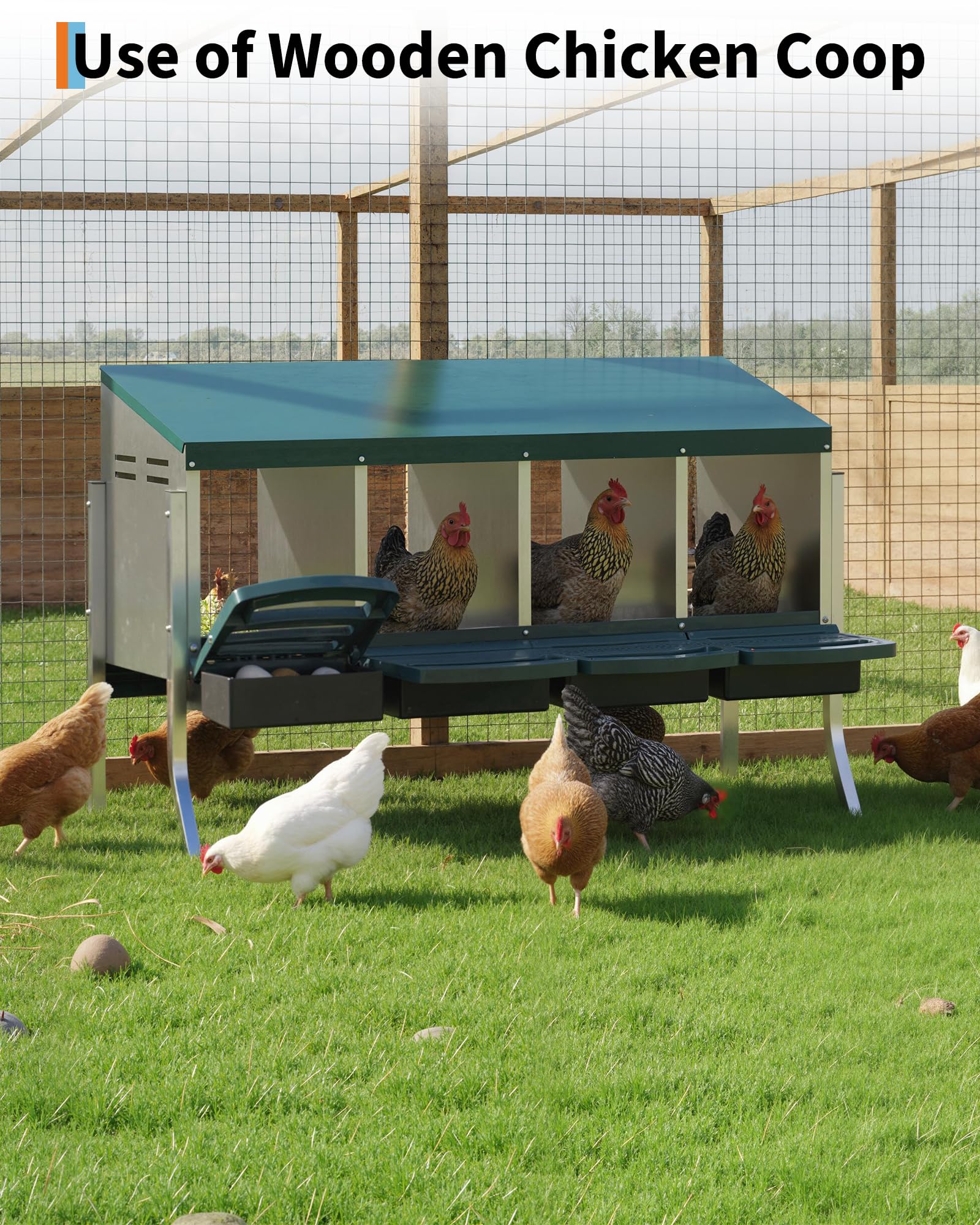 GarveeLife installed in backyard coop showing easy mounting and tidy setup