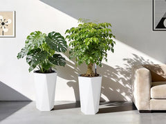 GarveeLife inner reservoir detail showing self-watering functionality for convenience