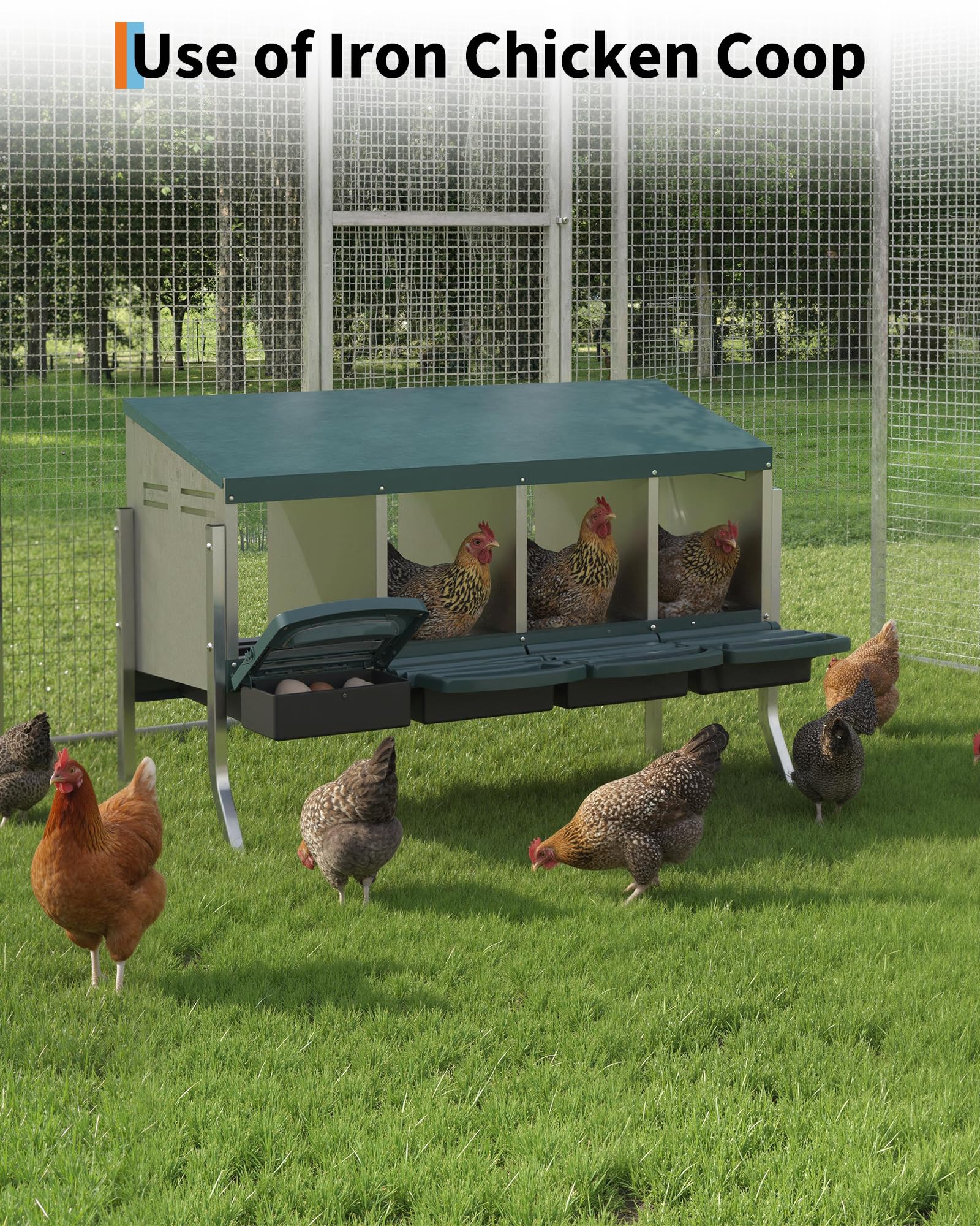 GarveeLife nesting box beside hen showing size and nesting capacity