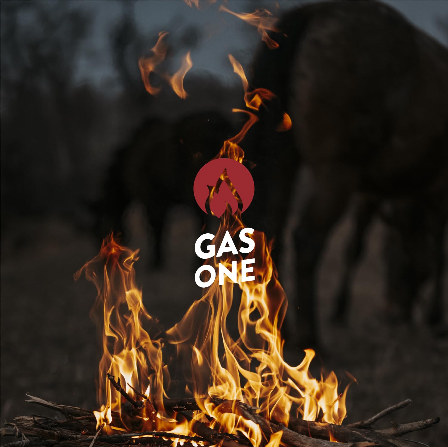 Gas One burning fire pit in backyard creating warm gathering atmosphere