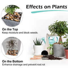 GASPRO stones settled in aquarium offering safe smooth substrate benefits