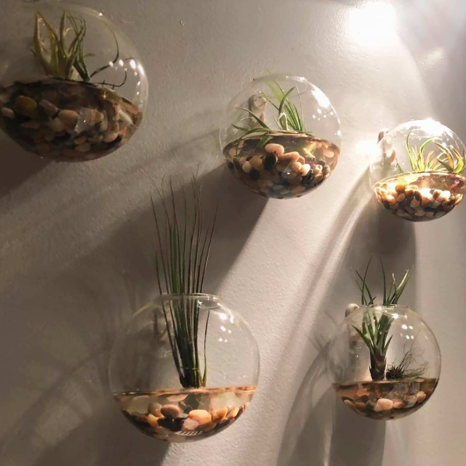 GASPRO river rocks in vase adding decorative shine to indoor decor