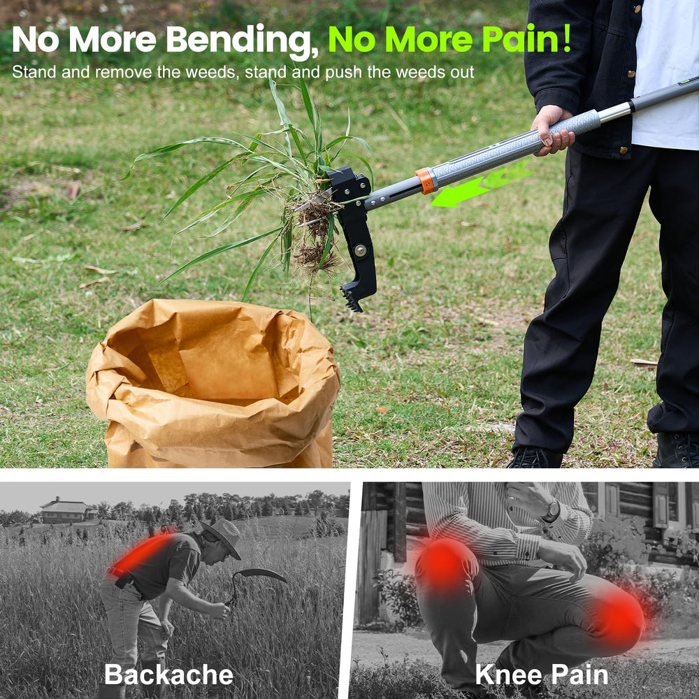 GASREKV extracting dandelion from lawn for chemical-free weeding