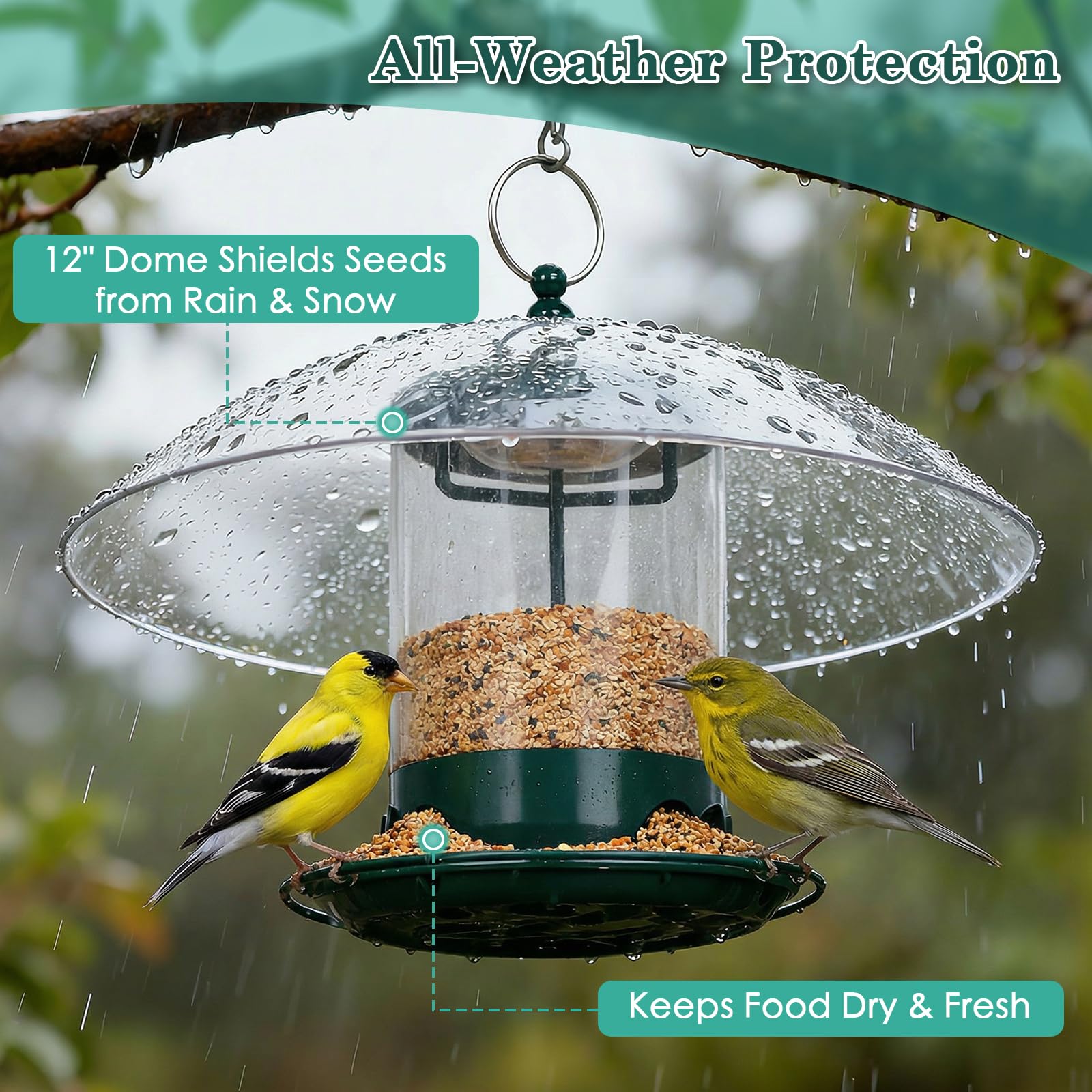 Gbekery 12-inch weatherproof dome protecting seed from rain and snow benefit