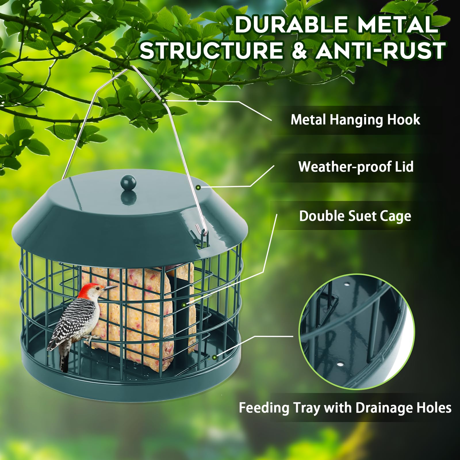 Gbekery feeder with small birds feeding safely illustrating squirrel-resistant design