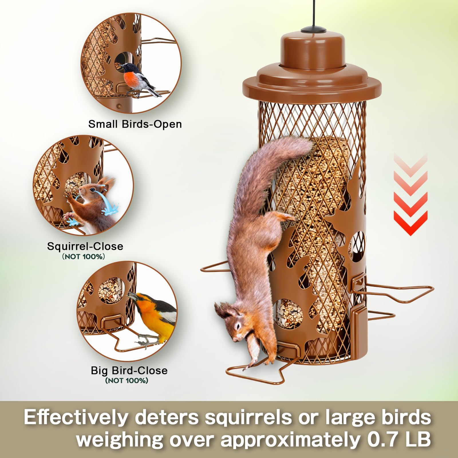 Gbekery detachable base removed for cleaning, promotes hygienic feeder maintenance