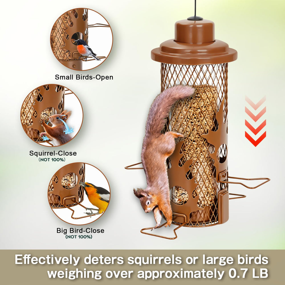 Gbekery detachable base removed for cleaning, promotes hygienic feeder maintenance