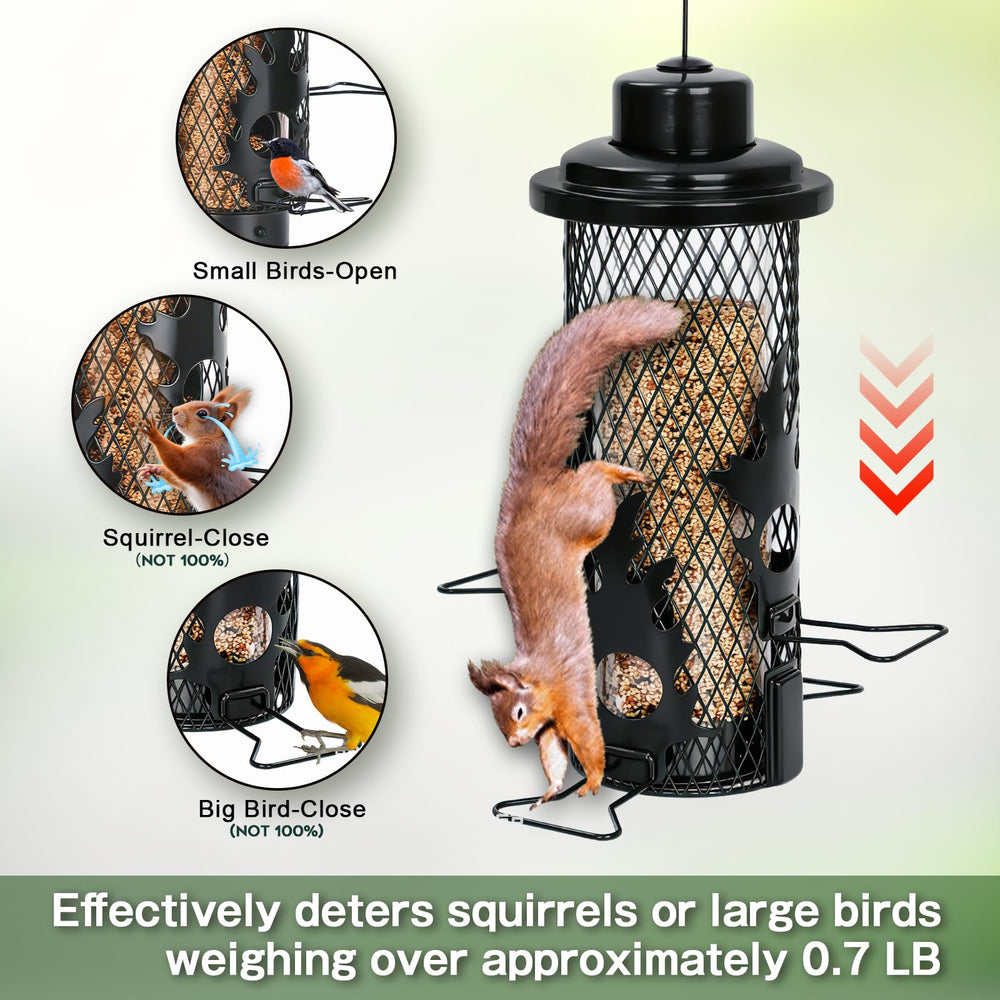 Gbekery feeder detachable bottom removed to show effortless cleaning, hygiene benefit