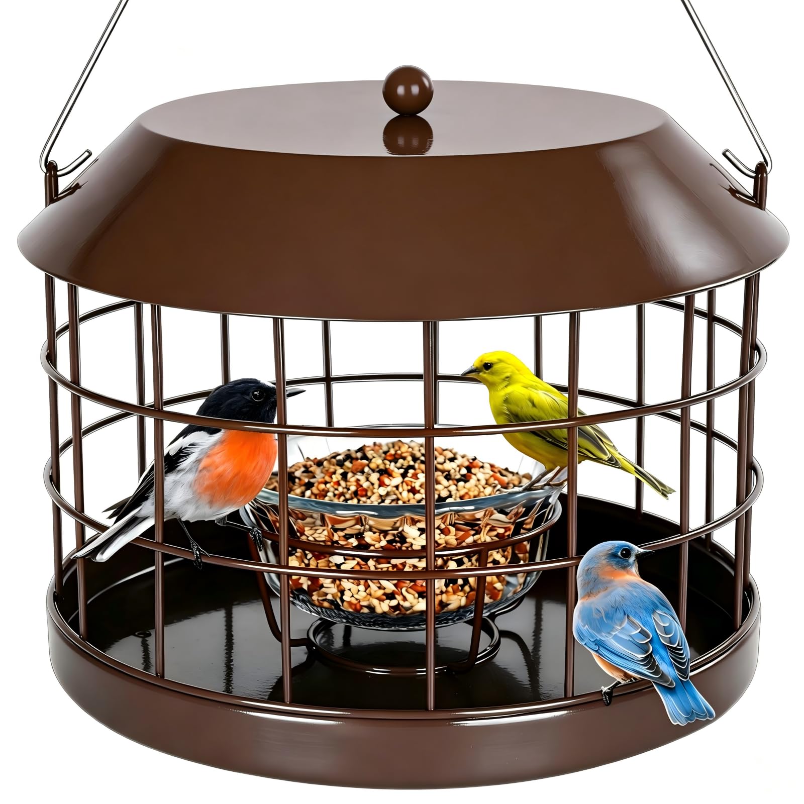 Gbekery feeder front view showing full cage and glass bowl, attracts small birds safely