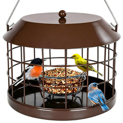 Gbekery feeder front view showing full cage and glass bowl, attracts small birds safely