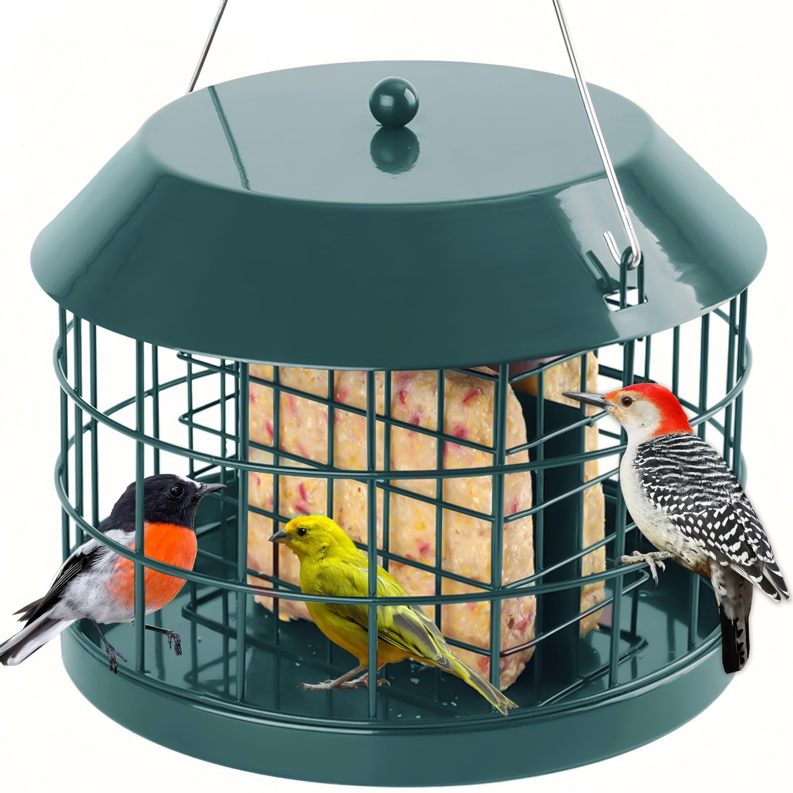Gbekery feeder front view showing cage and green finish for durable backyard display