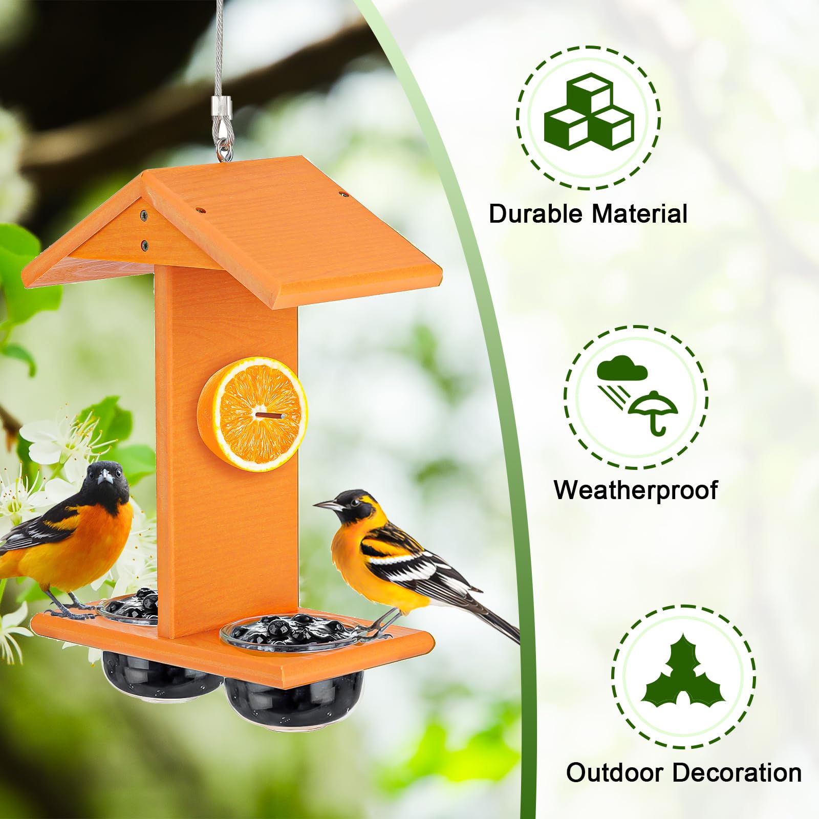 Gbekery feeder in garden with oriole perched, natural backyard viewing benefit