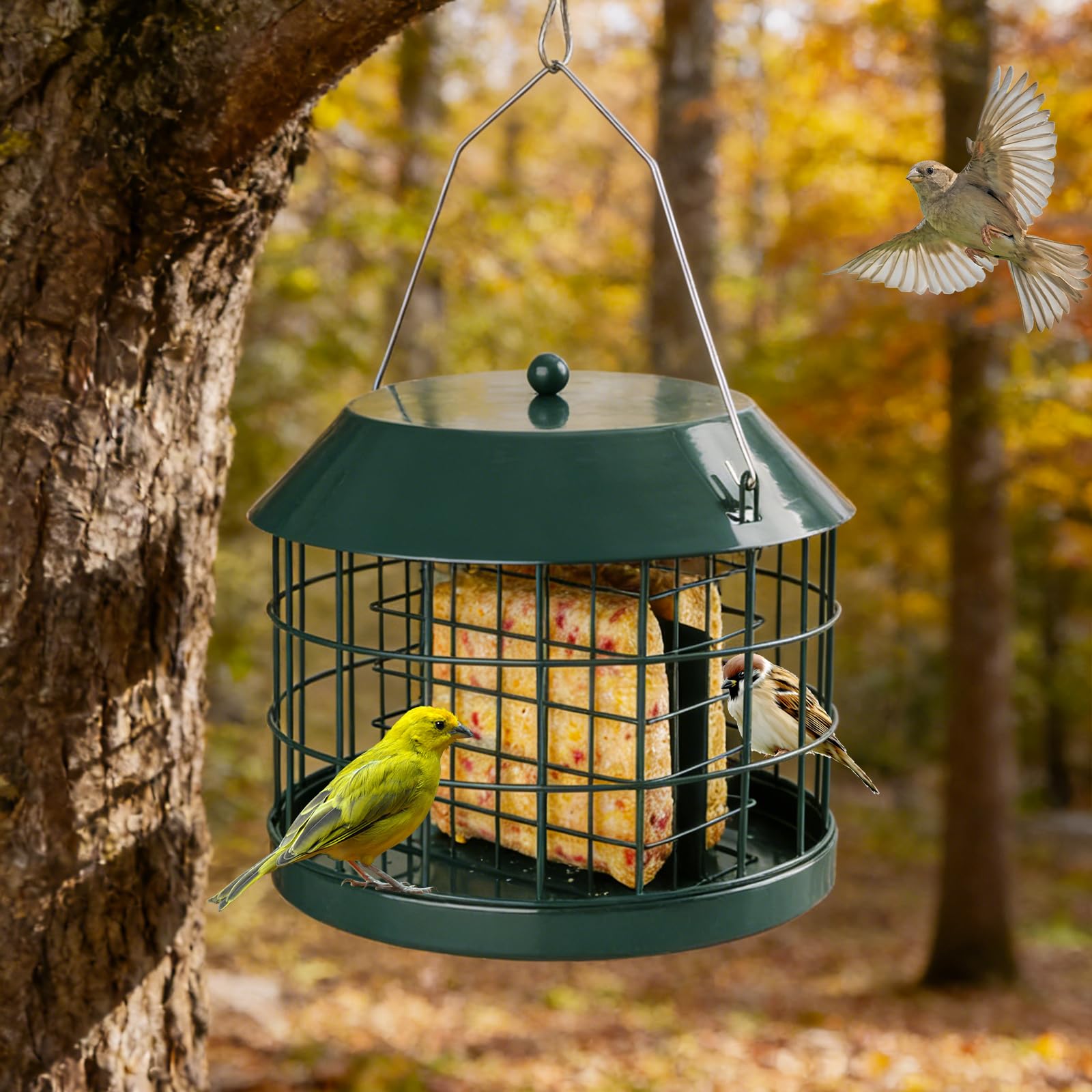Gbekery mesh close-up highlighting 1.5x1.5 openings that block squirrels