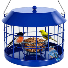 Gbekery front view of bluebird feeder showing cage and glass bowl benefit: easy small-bird access