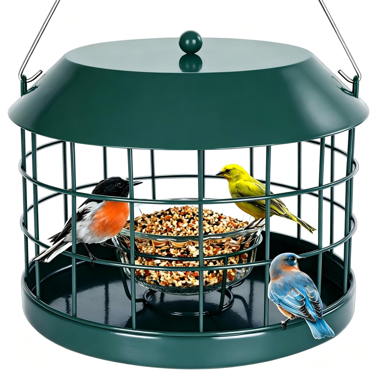 Gbekery front view of green caged feeder showing squirrel-proof design and inviting bowl