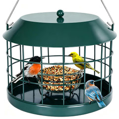 Gbekery front view of green caged feeder showing squirrel-proof design and inviting bowl