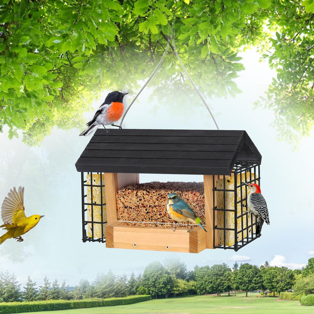 Gbekery feeder hanging in garden near flowers, creating attractive backyard wildlife scene