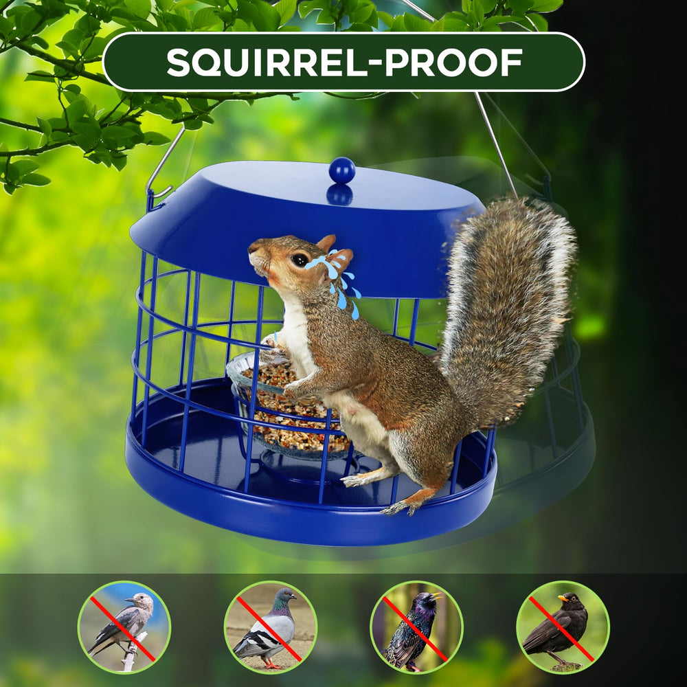 Gbekery metal mesh cage detail demonstrating squirrel-proof spacing to protect small birds