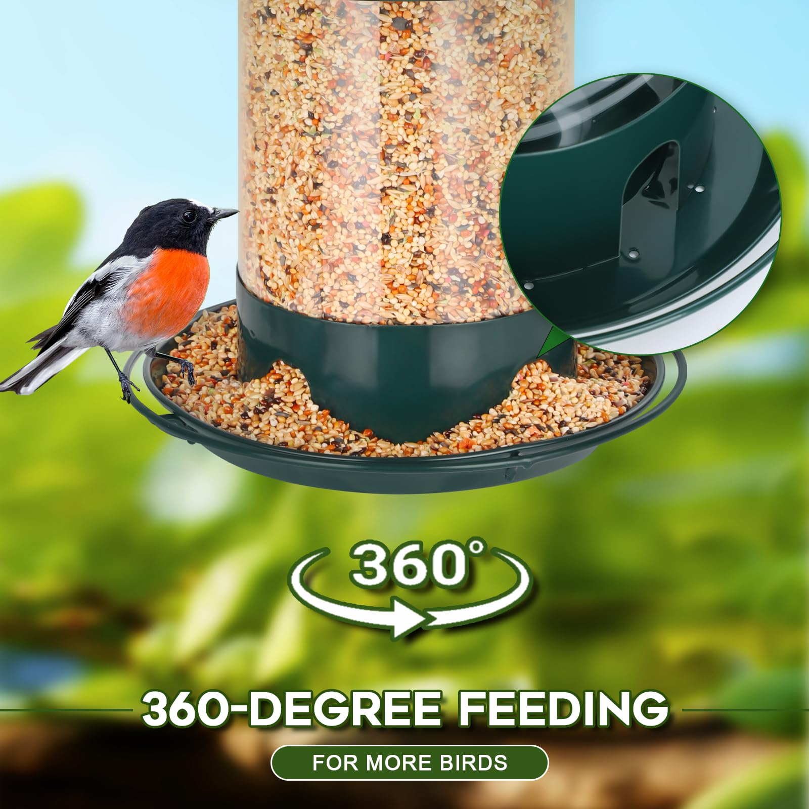 Gbekery feeder beside a soda can for size comparison and practical scale