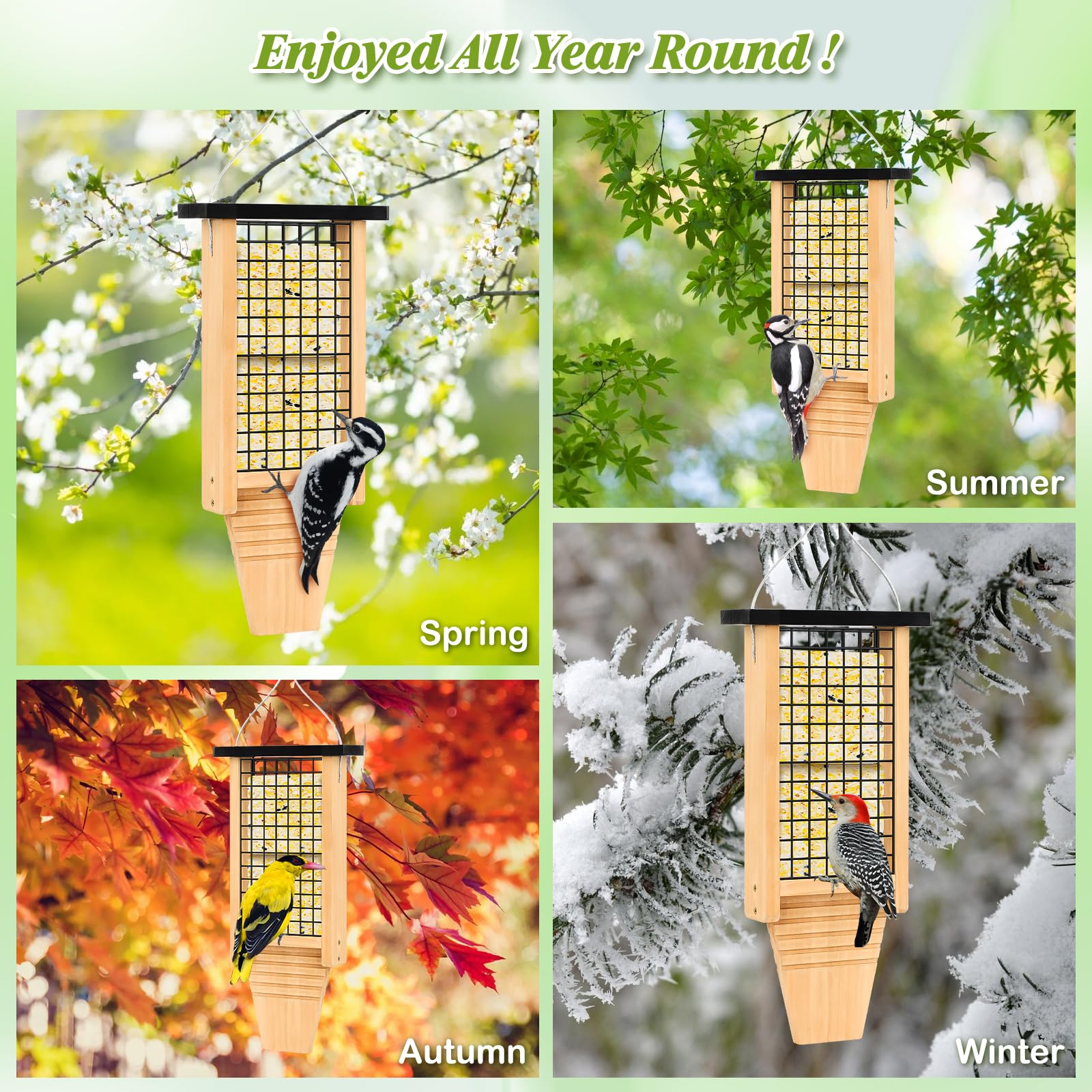 Gbekery in use with a woodpecker feeding comfortably using tail prop support