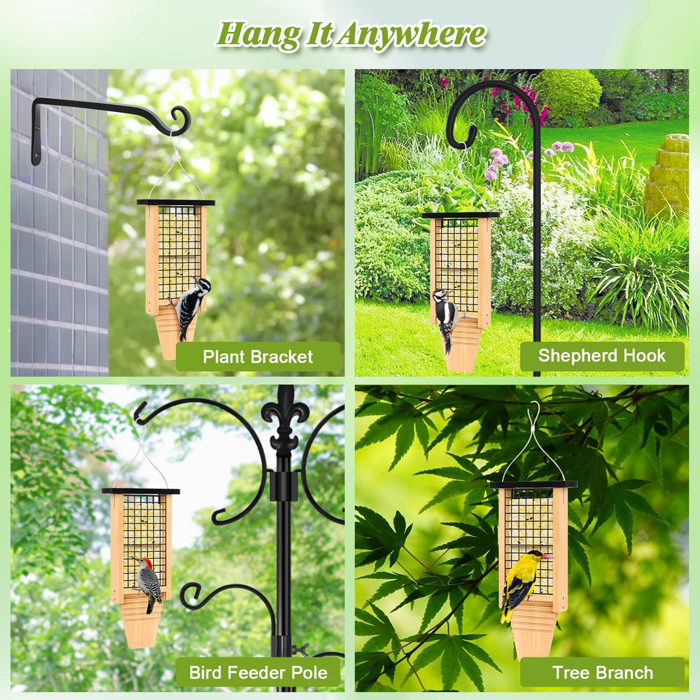 Gbekery feeder displayed on porch attracting wild birds and enhancing backyard view