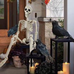 GCNBCNB skeleton posed sitting on a porch step benefit: creates a spooky welcome