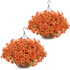 Geegoods front view of orange mum hanging baskets showing vibrant curb appeal