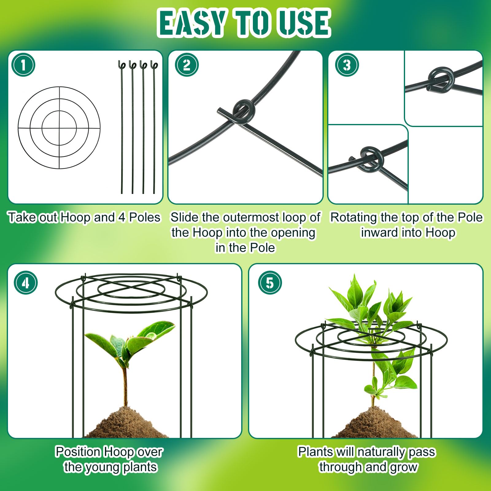 Geelin assembled cage supporting hydrangea blooms to prevent flopping benefit