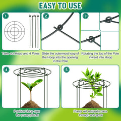 Geelin assembled cage supporting hydrangea blooms to prevent flopping benefit