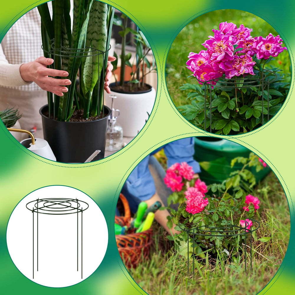 Geelin cage in large planter illustrating container use and upright growth benefit