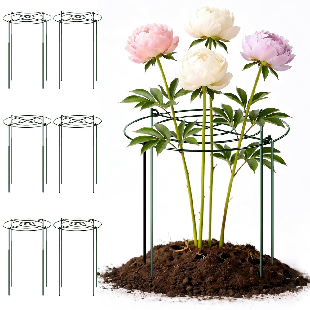 Geelin front view assembled support cage showing stable frame and tidy stems