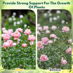 Geelin in use supporting a heavy peony bloom to prevent flopping