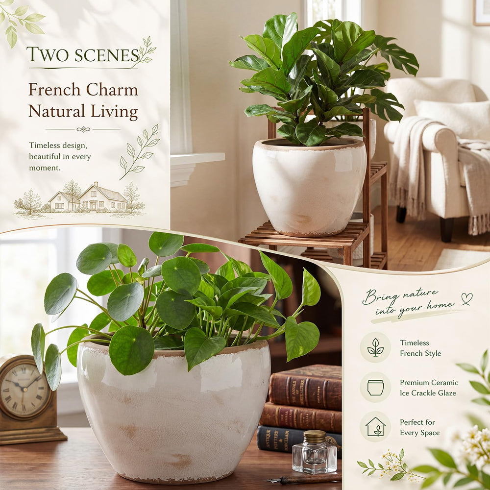 Geetery planter on shelf styled with decor demonstrating versatile home placement