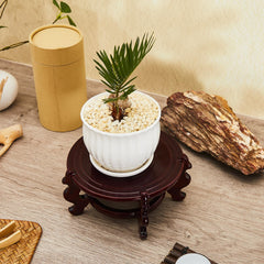 Geetery stand with porcelain vase in use improving display and presence
